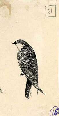 Курдов Валентин Иванович. Лот из восьми иллюстраций к повести В. Бианки, закрепленных на одном паспарту 